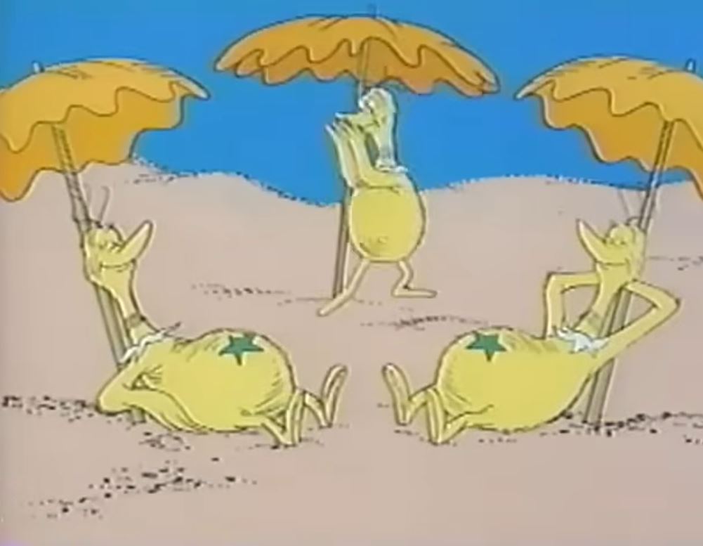 A wide sandy beach at sunset with warm golden light